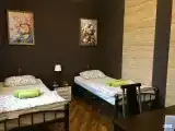 Двухместный номер Standard с балконом и с красивым видом из окна (2 отдельные кровати)