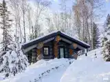 Шале с одной спальней(трёхместный)