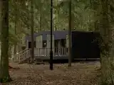 Дом СВОБОДА  (входит лесная ванна)