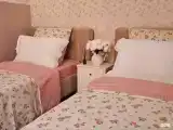 Комфорт двухместный TWIN