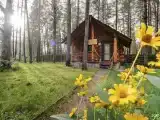 Трехместная избушка  категории стандарт