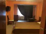 Двухместный номер Standard с красивым видом из окна (двуспальная кровать)