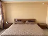3-местный номер люкс с 1 двуспальной кроватью