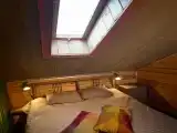 Комната стандарт с 1 двуспальной кроватью (мансарда)