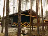 Коттедж с красивым видом из окна