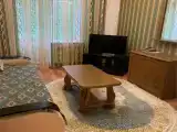 Одноместный вип