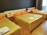 Семейный номер 5-ти местный с лоджией