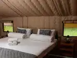 Бунгало стандарт