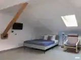 Четырехместный бизнес люкс с большой кроватью и диваном