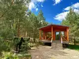 Трёхместный люкс Подсолнух