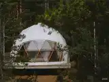 Геокупол с видом на лес