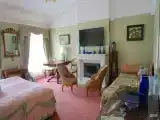 Ирисы