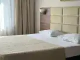 Двухместный номер Comfort (двуспальная кровать)