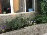 Кровать в общем номере (мужской номер) с красивым видом из окна