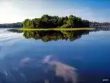 Номер Standard
