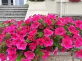 Двухместный полулюкс с видом на город
