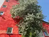 Одноместный номер Standard