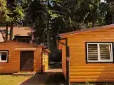 Двухместный номер Deluxe (двуспальная кровать)