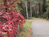 1-но местный стандарт (удобства в блоке)