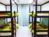 Семейный номер Economy