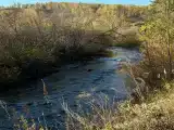 Дом "на ножках" (эконом)