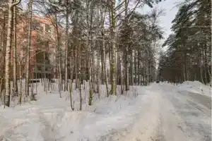 Прекрасная студия среди сосен у Финского залива, Зеленогорск
