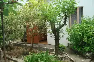 Комнаты на Грушевой