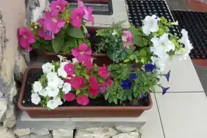 Гостевой дом "На Александрова 4", Соль-Илецк