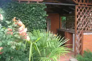 Гостевой дом «Вистерия», Коктебель