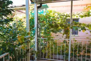 Гостевой дом «Москвичка», Феодосия