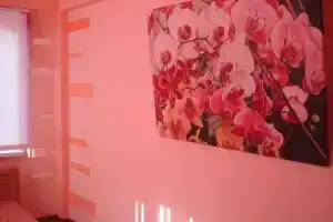 Первый этаж частного дома. Две отдельные спальни