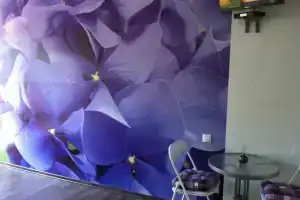 Шикарная студия