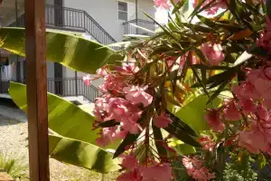 Гостевой дом на Главной, 7б, Нижняя Беранда