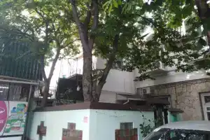 Студия, Алушта