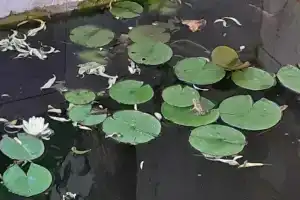 Гостевой дом «Приют путешественника»