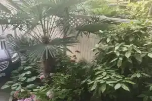 Гостевой дом на Красноармейской, Алушта