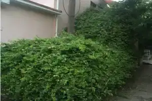 Студия на Ивана Голубца 31