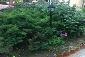 Гостевой дом «Маркинсон», Благовещенская