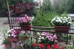 Гостевой дом «У Артура»