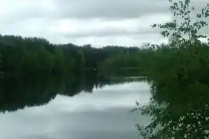 Гостевой дом «Челмужи»