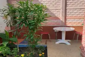 Гостевой дом «Полина», Алушта