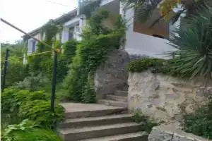 Дом в профессорском уголке