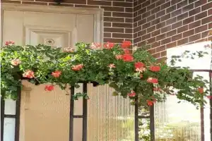 Дом для отпуска, Калининград