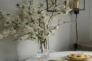 Апартаменты на Знойной, Калининград