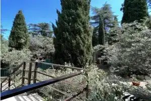 Гостевой дом «Маслинка», Алушта