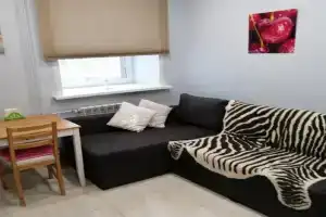 Апартаменты “евродвушка“, Владимир