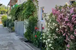 Гостевой дом «Ариан-Изюминка»