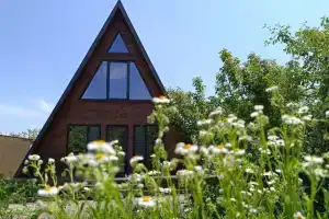 Дом "Афрейм", Кузьмищево