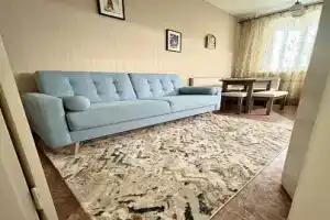 Большая однокомнатная квартира, Воронеж