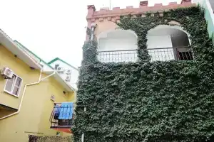 Гостиница «Замок Алины», Приветное